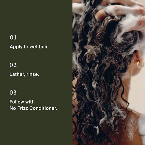 Living Proof No Frizz Shampoo & Conditioner Duo for Smoother Hair