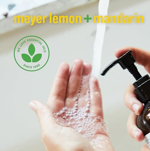 Everyone Liquid Hand Soap Meyer Lemon & Mandarin 12.75 oz 3-Pack - Eco-Friendly, Hypoallergenic