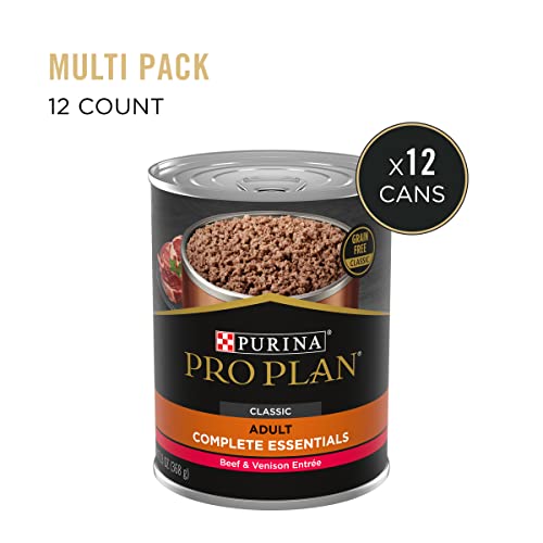 Purina Pro Plan Sensitive Skin and Stomach Dry Dog Food Senior Adult 7 Plus Salmon and Rice Formula - 24 lb. Bag