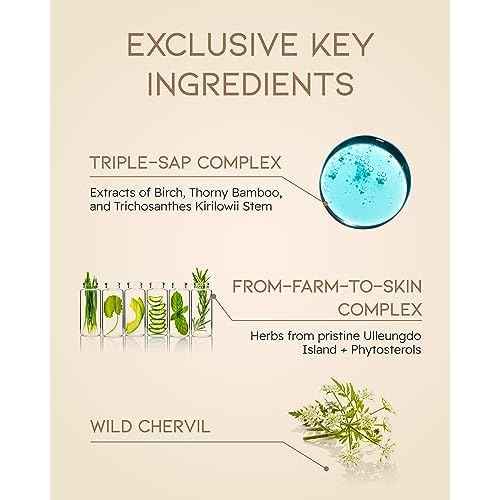 Beyond Skincare Gift Set (11.3fl oz) - Vegan Formula Korean Skin Care. Toner & Lotion for Hydration, Soothing. Hyaluronic Acid, Tree Sap Complex.