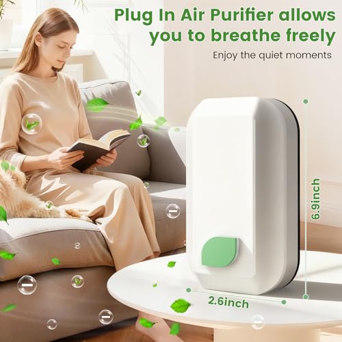 Plug-In Negative Ion Air Purifier, 6-Pack Mini Ionizer