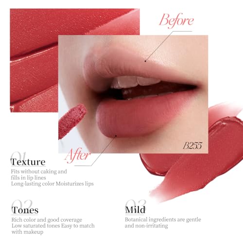 COLORKEY Airy Velvet Lip Tint, Matte Finishs, Longwear Rich Lip Colors, non-sticky, Creamy Soft Texture, Waterproof Lip Stain, Matte hydration, non-drying. Velvety finish (R666 Colorkey Red, 3g)