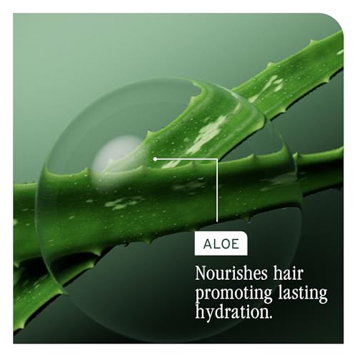 Biolage Hydra Source Deep Treatment Mask - Nourishes & Smooths, For Dry Hair, Infused with Micro-Filtered Aloe Vera & Fermented Hyaluronic Acid