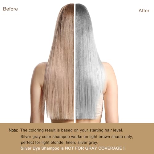 GURKOOYD Silver Gray Hair Dye Shampoo - Instant Long-Lasting Hair Color for Men & Women