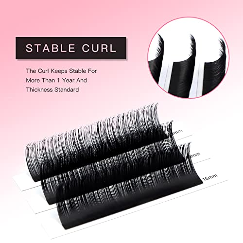 TDANCE 0.05-D / 10-17mm Matte Black Eyelash Extensions for Volume & Classic Lash Sets