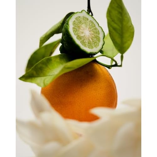 Maison Louis Marie - No.12 Bousval Natural Roll-On Perfume Oil | Luxury Clean Beauty + Non-Toxic Fragrance (0.5 fl oz | 15 ml)
