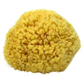 Natural Sea Sponge Small 4-5" by Spa Destinations¢çCreating The Perfect Bath and Shower Experience Amazing Natural Renewable Resource!