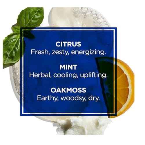 Jack Black Body & Hair Cleanser ? Mens Body Wash, Mens Shampoo, Skin Care, Hair Care, Body Wash Men, Sulfate?Free