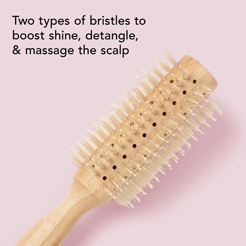 Boar Bristle Round Brush for Blowdry & Shine