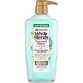 Garnier Whole Blends Coconut Water & Aloe Vera Refreshing Shampoo for Normal Hair, 26.6 Fl Oz, 1 Count (Packaging May Vary)