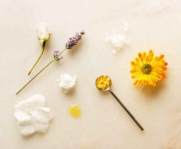 Shwally Zinc & Charcoal Deodorant – A True Natural, Tallow-Based & Effective Deodorant for Men & Women –– Aluminum Free with Coconut & Arrowroot – Lasts 4X Longer (Eucalyptus + Peppermint, 2.5 oz)