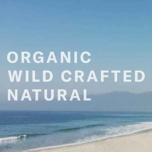 Chocolate Sun - Organic Enhance Light Tanning Cream Face & Body | Clean, Non-Toxic Sunless Tanning (Light, 8 oz | 236 ml)