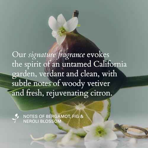 R?Z Willow Glen Treatment Oil - Multi-Purpose, Organic Vegan Nourishing Oil for Hair, Scalp & Body, Vegan, Cruelty Free, 2 Fl. Oz. / 60 Ml