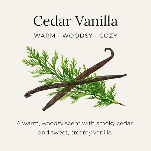 Little Seed Farm Cedar Vanilla Natural Deodorant Cream - 2.4 oz, Aluminum & Baking Soda Free