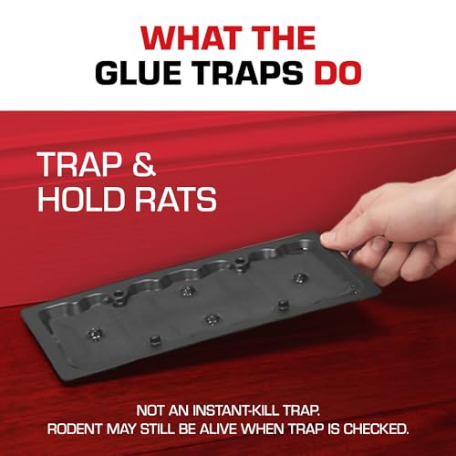 Tomcat Mouse Trap with Immediate Grip Glue for Mice, Cockroaches, Spiders, and Scorpions, Ready-To-Use, 4 Traps