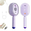 Rechargeable Electric Steam Hair Brush with Hydrating Mist