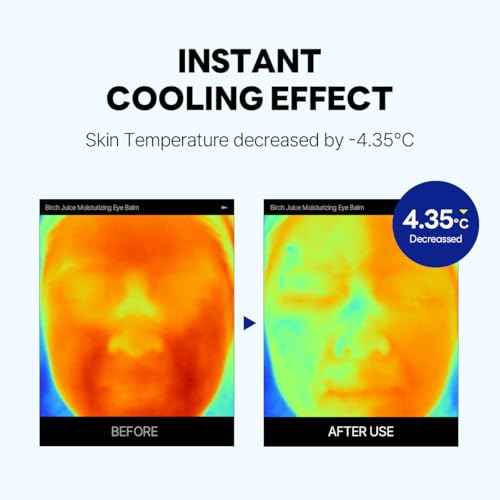 ROUND LAB Birch Juice Icy Cooling Eye Stick ? Depuffing Glow Booster Balm for Puffy Eyes, Dark Circles, Fine Lines | On-the-Go Moisturizer | Korean Skincare | 0.35 oz