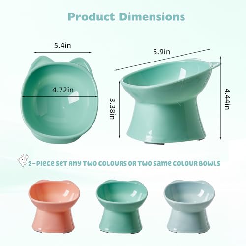 KSIA Klear Elevated Cat Bowls 2 Pack Green - Tilted 15° Raised Food & Water Bowls