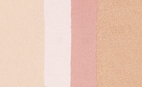 Wet n Wild MegaGlo Illuminating Blush Palette, Catwalk Pink (Pack of 2)