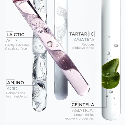 Kerastase Chroma Absolu Chroma Respect Shampoo Riche For Sensitized or Damaged Color-Treated Hair - Protects and Nourishes Medium To Thick Hair, with Lactic Acid