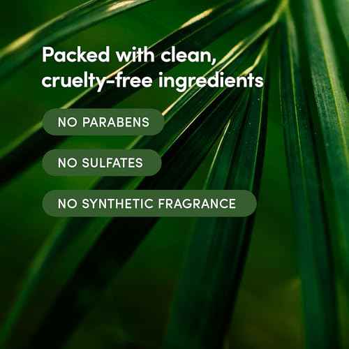 LATHER - Bamboo Lemongrass Hair Wash, 8 fl oz (2-Pack) - Daily Shampoo & Cleanser - Revitalize Hair - Bamboo, Comfrey, Chamomile - Sensitive Skin Safe - Vegan & Cruelty Free - Beauty & Hair Care