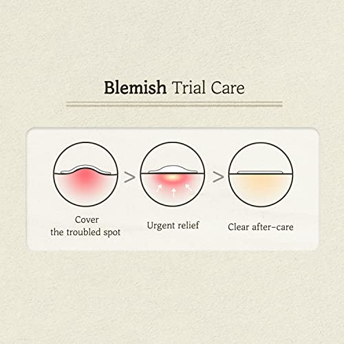 SKINFOOD Cica Clear Spot Patch (110count), Hydrocolloid AC Patch for Covering and Recovering Spot, Ultra Thin Clear Skin Sticker for Easy AC Care