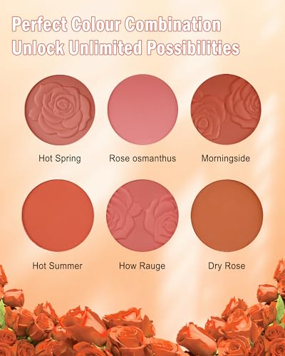 6-Color Matte & Shimmer Blush Palette with Brush