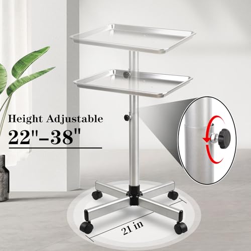 Adjustable Salon Tray on Wheels with Removable Top