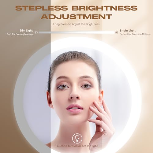Dienmern Makeup Mirror with Lights 1X/20X Magnifying 360° Rotation