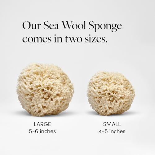 Natural Sea Wool Sponge 5-6" | Organic Body Exfoliator