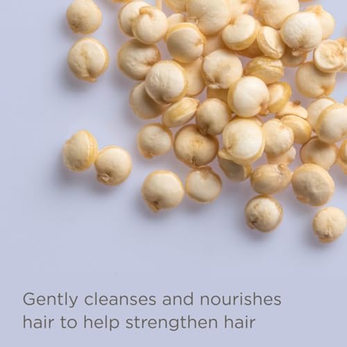 Hairitage Curl Enhancing Foam Mousse with Quinoa & Rice Protein, 5 oz