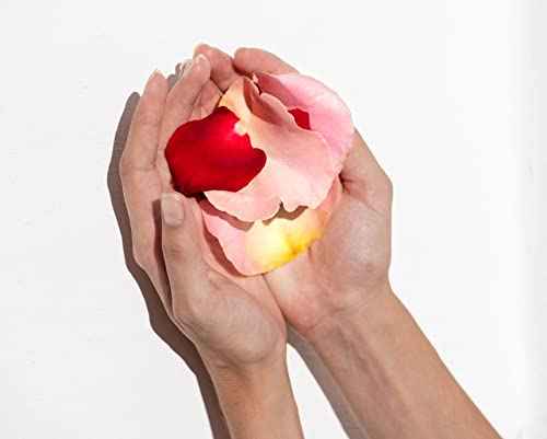 KORRES Wild Rose Skin Brightening Night Cream, Hydrating Face Moisturizer with Vitamin C, Hyaluronic Acid and Turmeric Extract, Overnight Facial Cream for Women with Tired, Depleted Skin, 40 ml