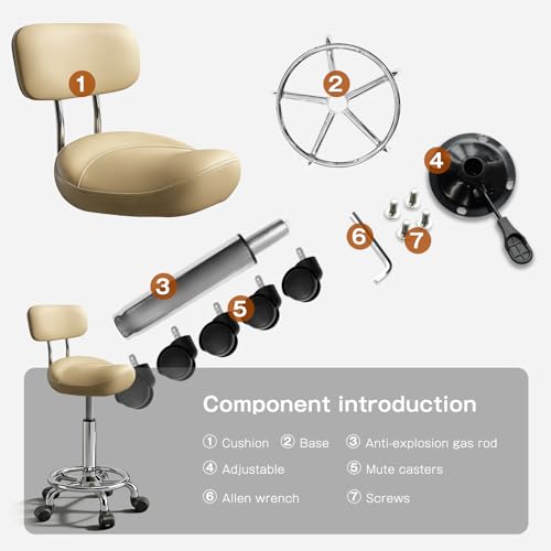 Saddle Stool with Back Support & Ring Pedal - Adjustable Height
