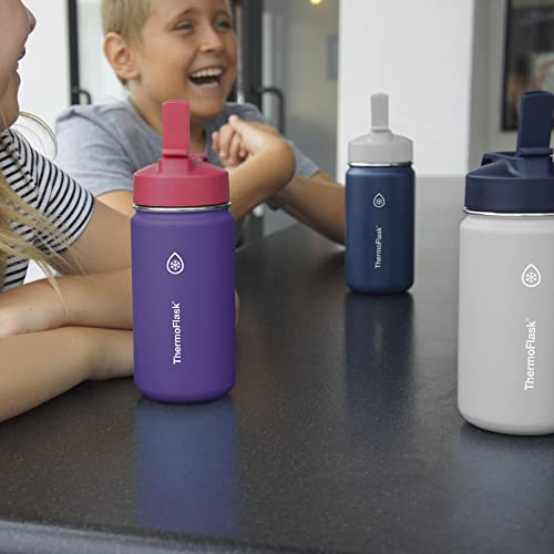 ThermoFlask 14 oz Double Wall Vacuum Insulated Stainless Steel 2-Pack of Water Bottles, Punch/Eggplant