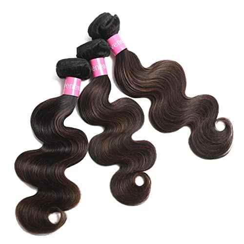 Lovena 10A Ombre Bundles Brazilian Virgin Hair, 1 Bundle, 18 Inch Body Wave, 100% Human Hair Extensions FB30 Color (FB30, 18 Inch)