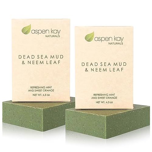 Aspen Kay Naturals Dead Sea Mud and Neem Soap - With Organic Shea Butter & Olive Oil. A Wonderful Neem Face Wash for all Skin Types. Handmade Soap - Made in USA. (2 pack)
