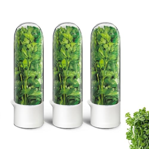 UEOZ 3PCS Herb Keeper for Refrigerator - Fresh Cilantro & Vegetable Storage Container Set