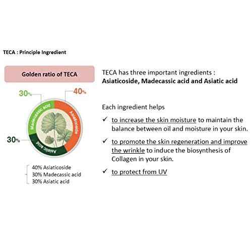 DONGKOOK CENTELLIAN 24 Micro Serum 50ml/1.69fl oz with TECA Tech. K-beauty#