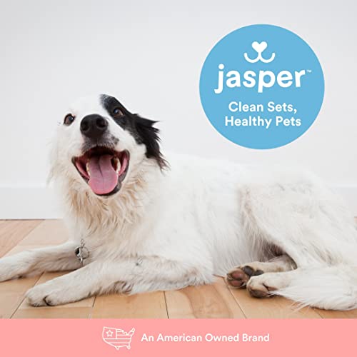 Jasper 360º Dog Toothbrush, Cat Toothbrush, Dog Tooth Brushing Kit, Dog Teeth Cleaning Kit, Dog Dental Care, for Use with Dog Toothpaste and Cat Toothpaste, 2-Pack Clear