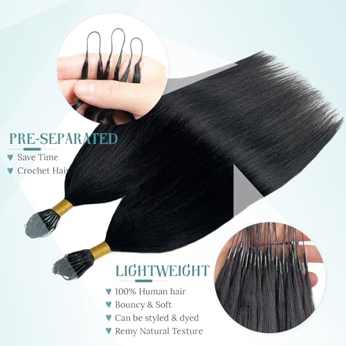Human Crochet Hair Extensions 14 Inch Yaki Straight Pre-Separated Black #1B