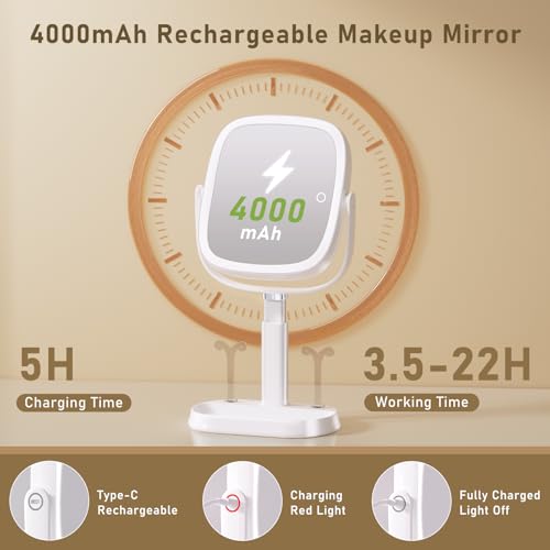 Lighted Makeup Mirror 1X/10X Magnification with 3 Light Modes & 360° Swivel