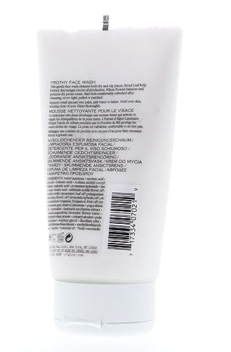 Origins Checks and Balances Frothy Face Wash 5oz, 150ml Skincare Cleansers