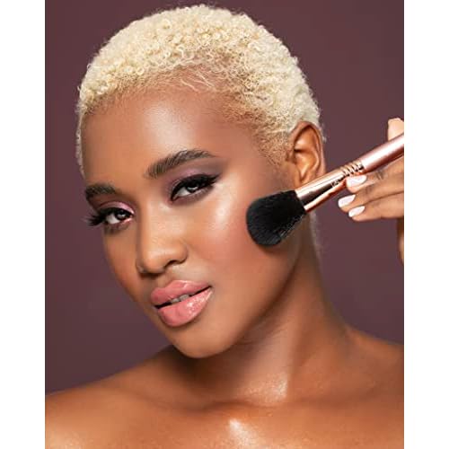 Sigma Beauty F10 Powder/Blush Brush ? Soft Tapered Face Brush for Setting Powder & Blush ? Professional Makeup Brush ? Black Handle ? 1 Count
