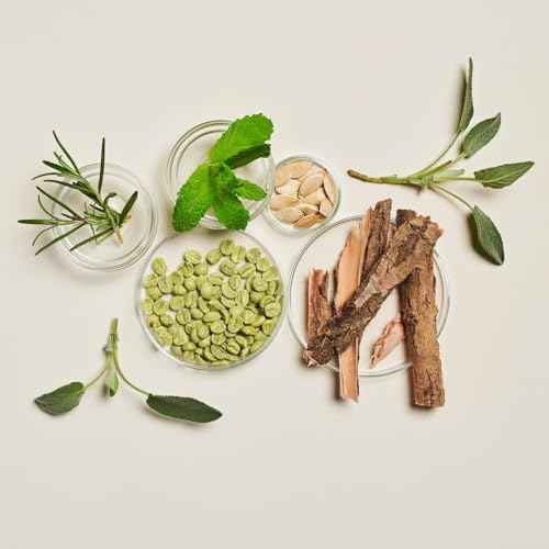 INNERSENSE Organic Beauty - Hair Renew Scalp Balance Duo | Hairbath (10 fl oz) + Conditioner (10 fl oz) | Non-Toxic, Cruelty-Free, Clean Haircare