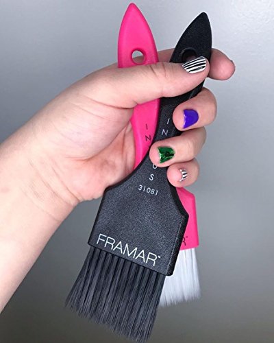 Framar Power Painter Hair Dye Brush Set, 2-Pack