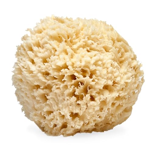 Natural Sea Wool Sponge 5-6" | Organic Body Exfoliator
