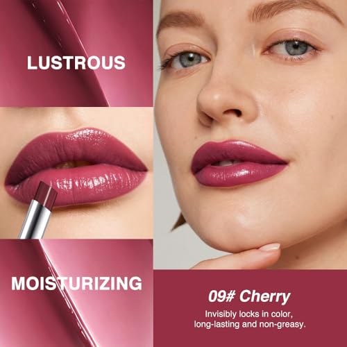 HHLTOH Cherry Wine Red Tinted Lip Balm A-09# 1 Pack Hydrating Lip Oil Stick