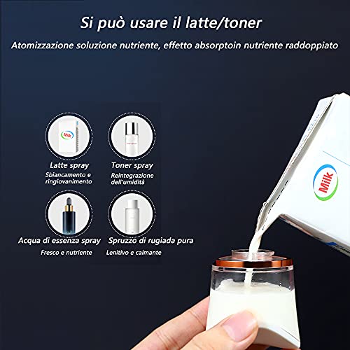 Nano Mist Sprayer with Skin Analyzer & Moisture Tester | Portable Face