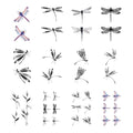 Dragonfly Temporary Tattoo Sticker Waterproof Insects Adult Men Women Hand Arm Shoulders Body Art 10.5X6cm Set of 12 (SF269)