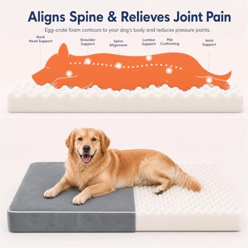 Orthopedic Dog Mat with 28D Memory Foam & Waterproof Lining